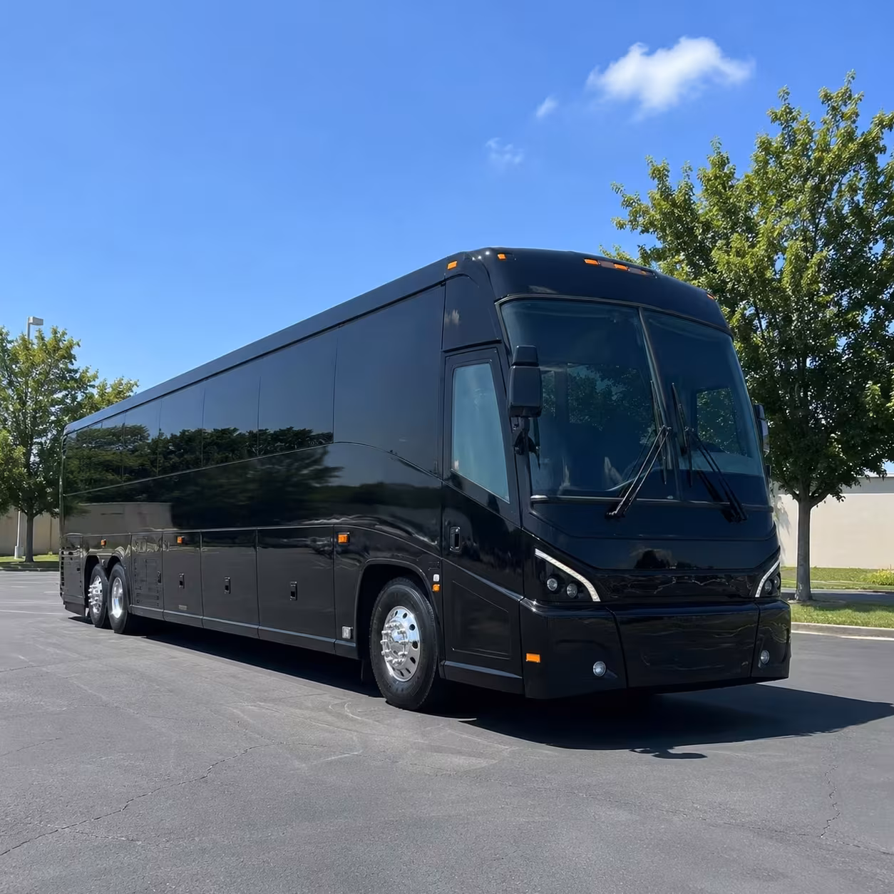 anchorage to fairbanks charter bus rentals on the parks highway